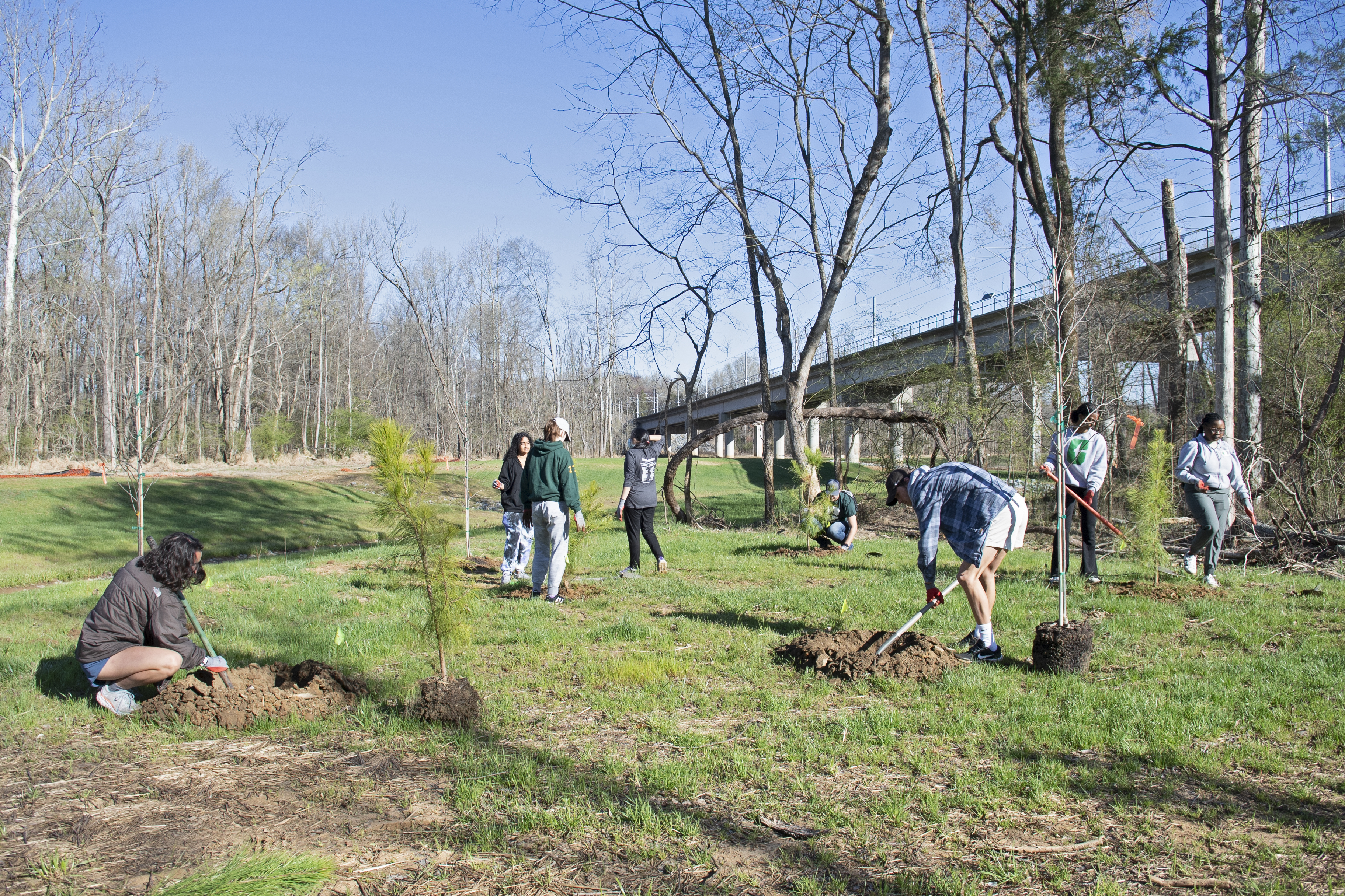 Photo of campus tree planting