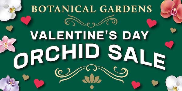 Annual Botanical Gardens Orchid Sale scheduled