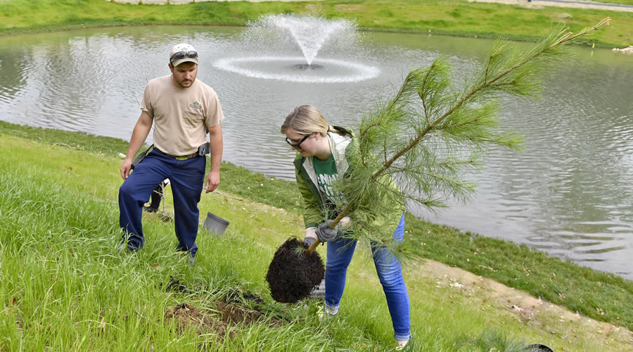 Help beautify campus, plant a tree