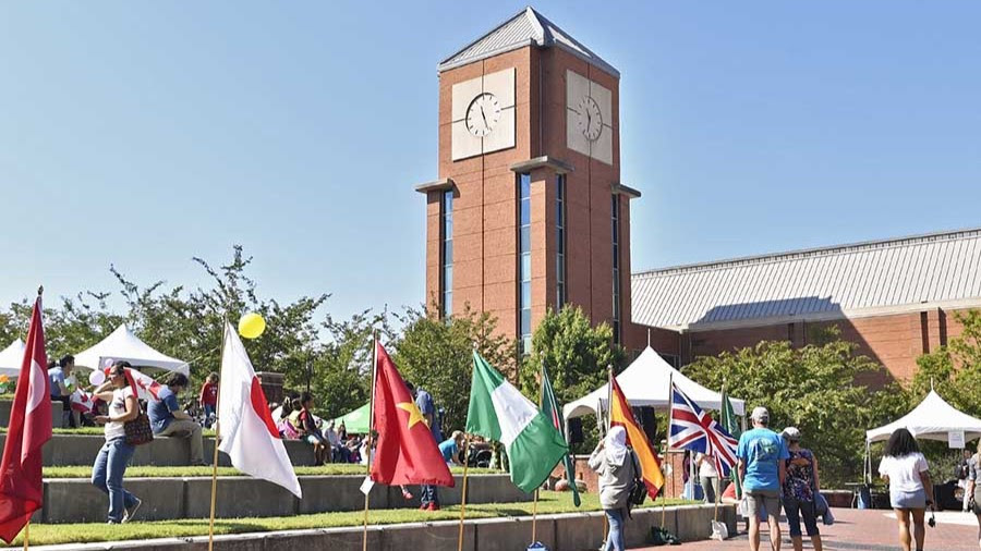Flags on campus for International Festival