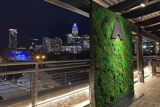 Moss Wall in an event space with Charlotte skyline in background