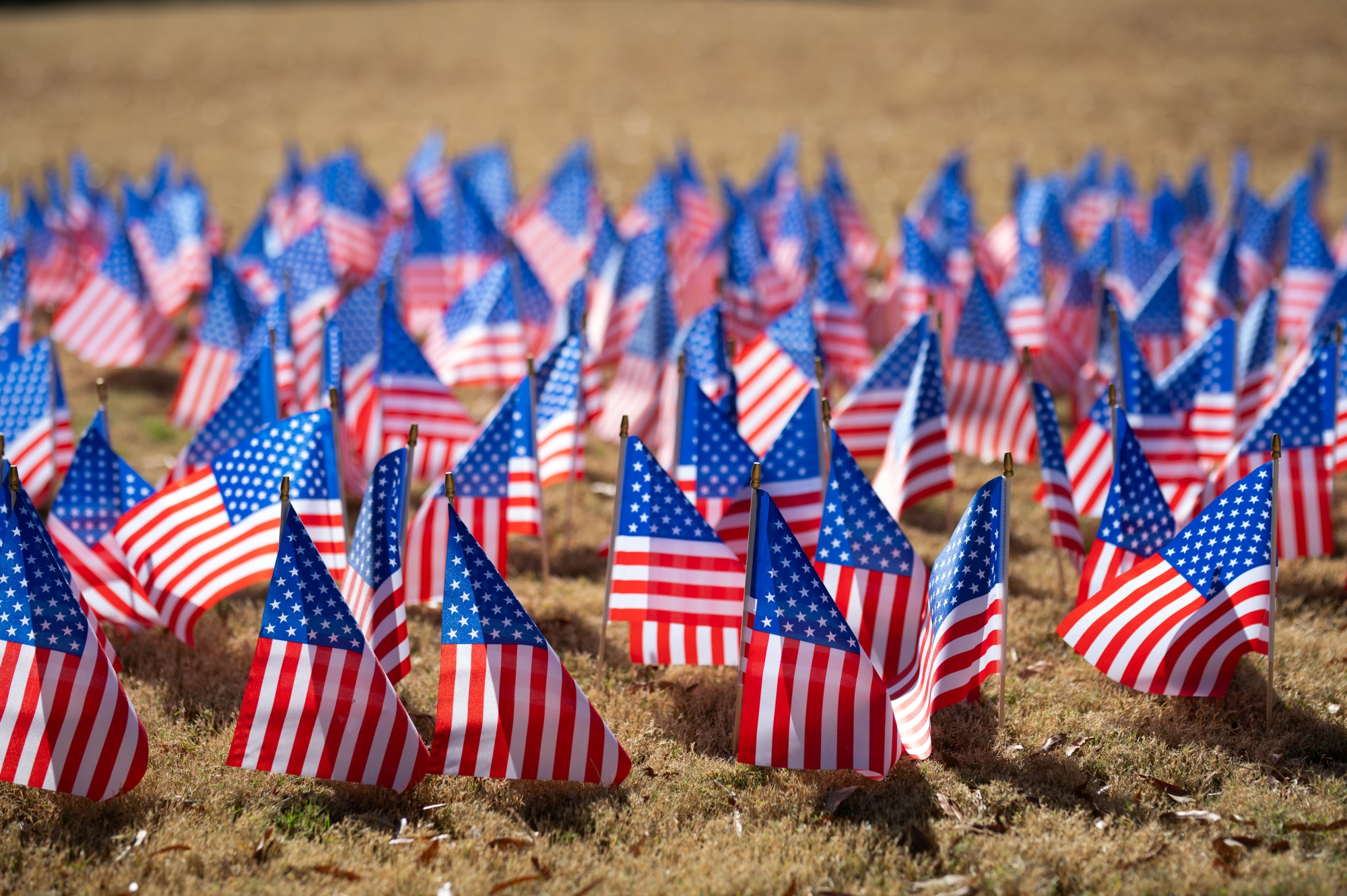 Photo of American Flags