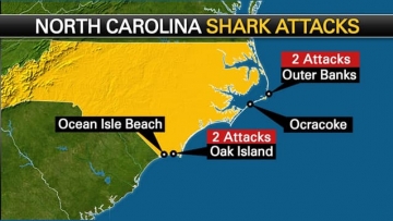 Map of shark attacks