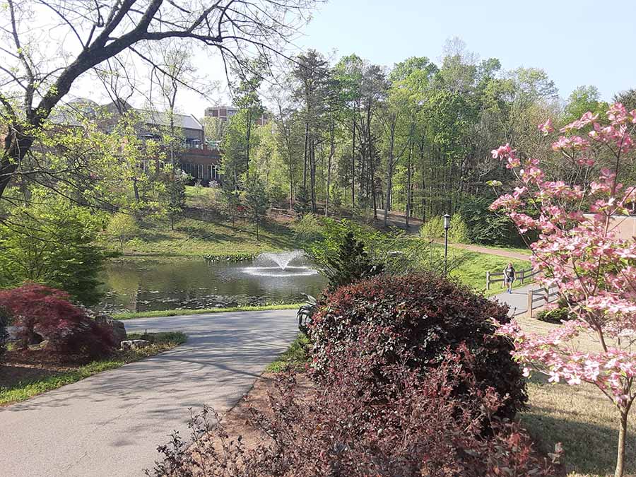 davis pond