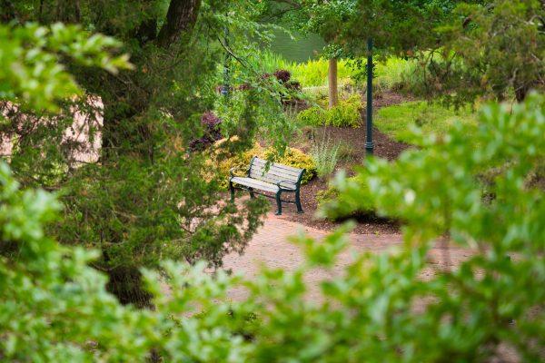 Bench on campus