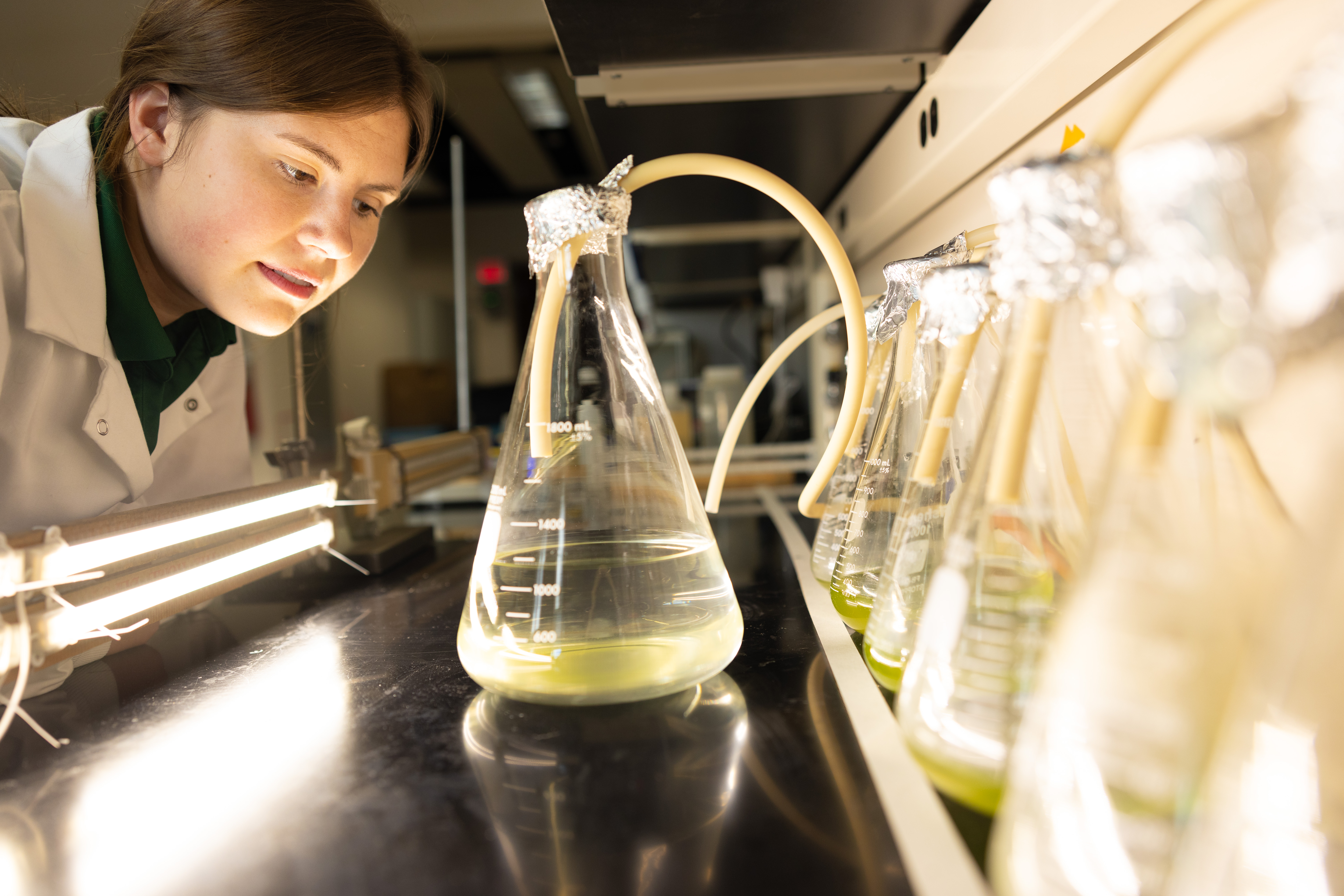 Jordan-Landis_Water_24009_1773_ah