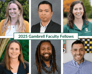 2025 Gambrell Faculty Fellows