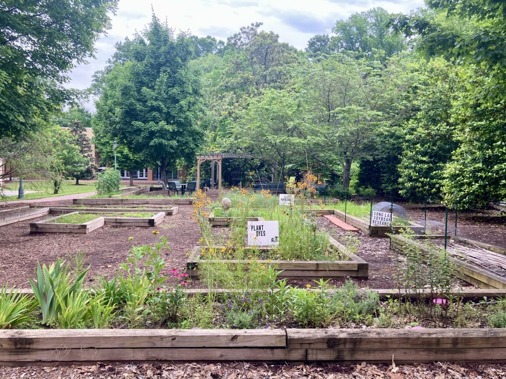 Student garden