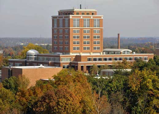 atkins library
