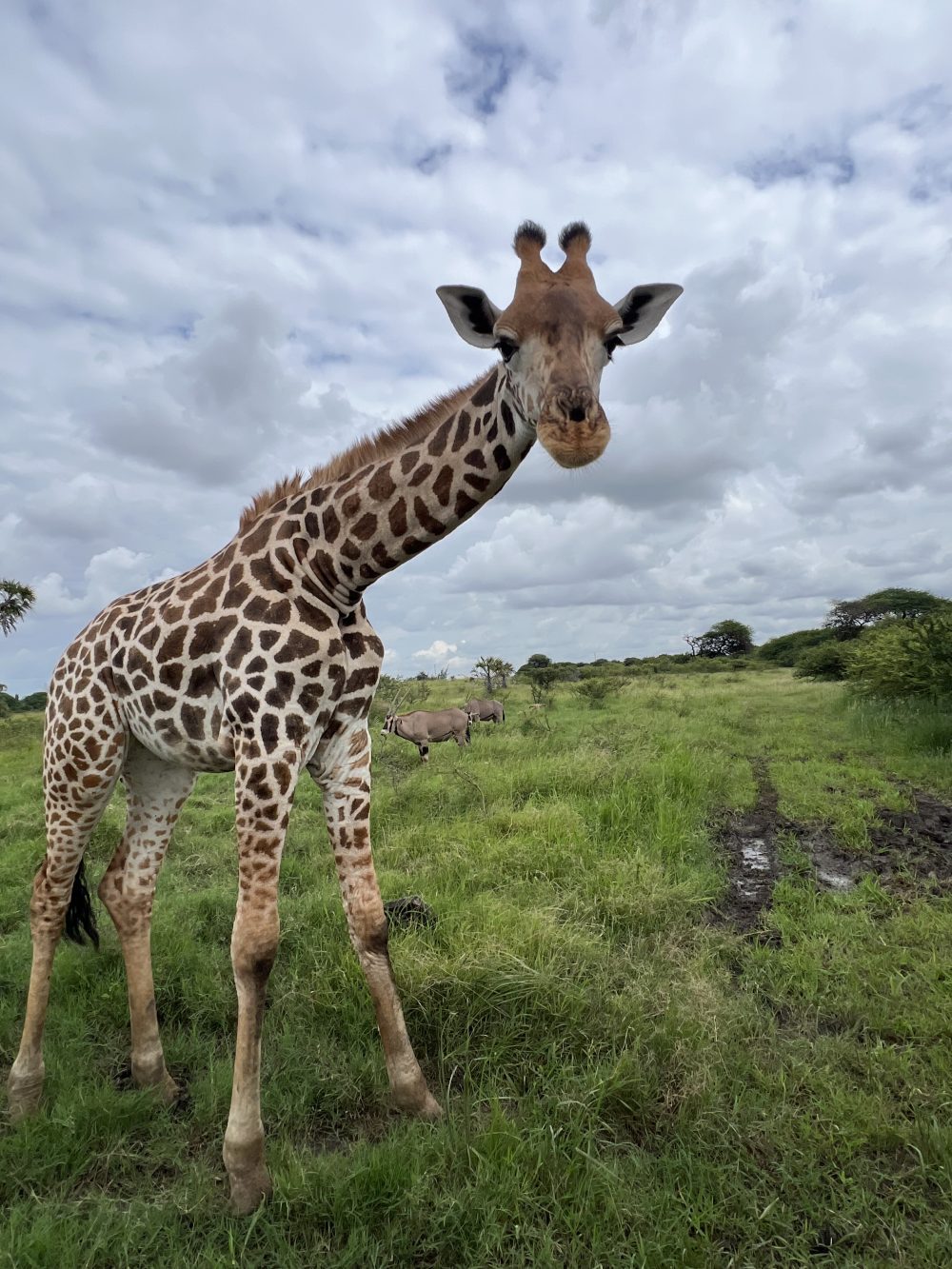 Mombasa, Kenya