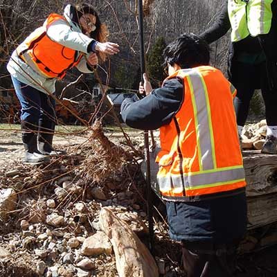 volunteers