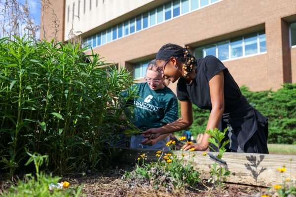Student Garden Day