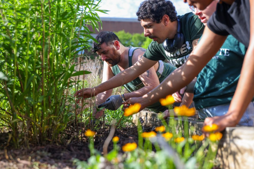 Student Garden Day