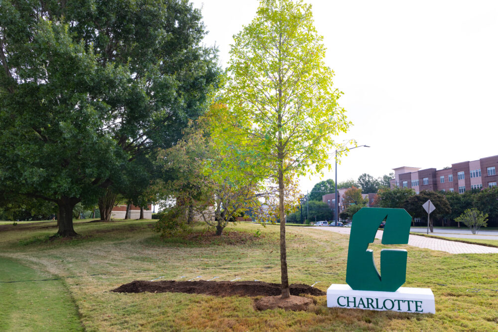 A young tree stands beside a large green "C" sign reading "CHARLOTTE" on a grassy area with trees and buildings in the background.