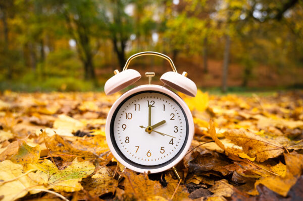 Alarm clock in a field of fallen leaves