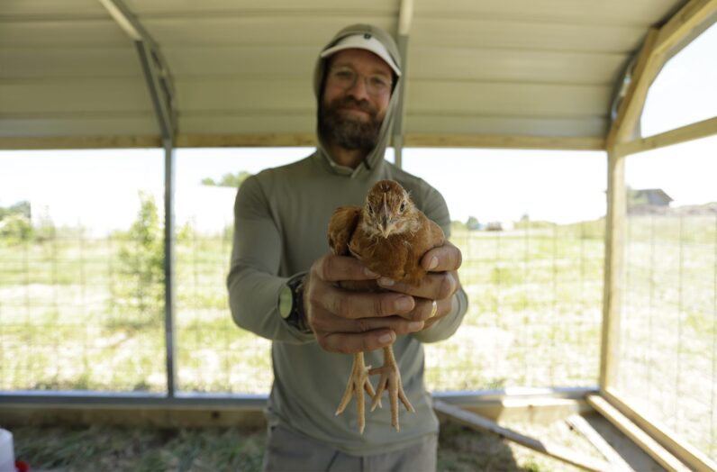 CrownTownCompost-Chicken