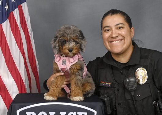 PPS_Charli-Oritz_3482 A police officer in uniform smiles while holding a small curly-haired dog in a pink harness, sharing a close moment beside an American flag backdrop.