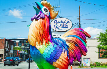 Painted Rooster