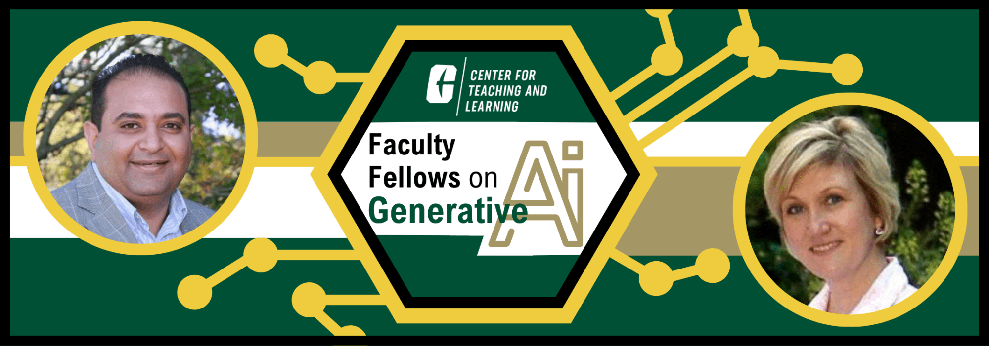 Faculty Fellows graphic