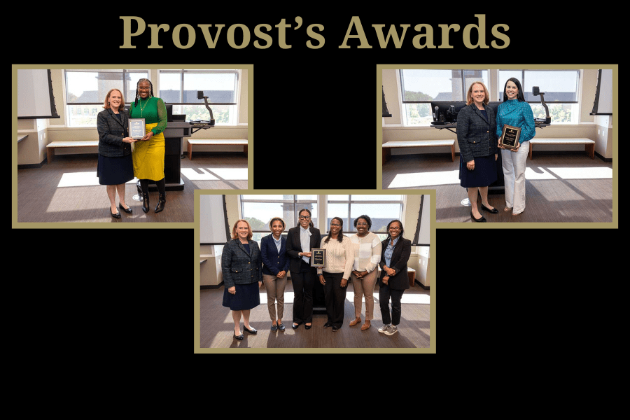 Provost Award Recipients