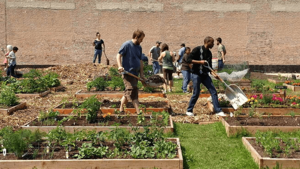 Photo of volunteers gardening