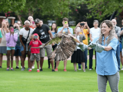 Raptor release 