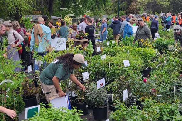 file photo fall plant sale