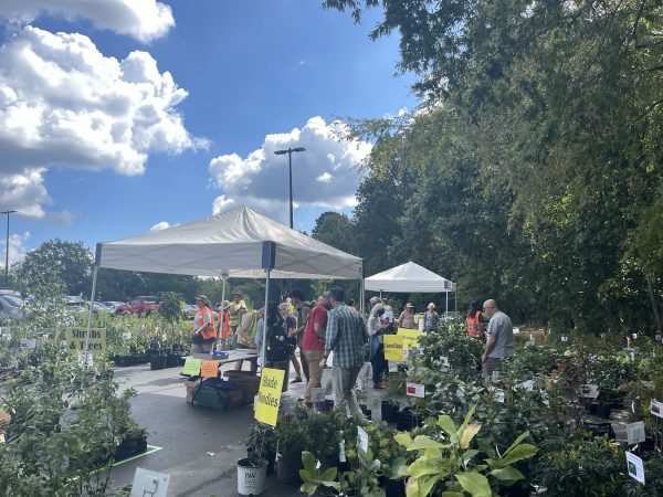 Botanical Gardens plant sale