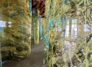 Kelp Forest Installation