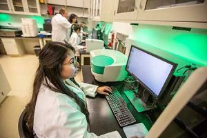 Photo: UNC Charlotte Climbs 46 Spots in Research Rankings