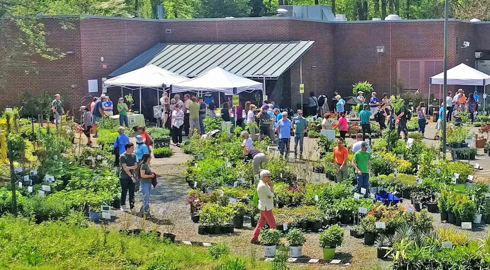 A lively outdoor plant sale with people browsing greenery.