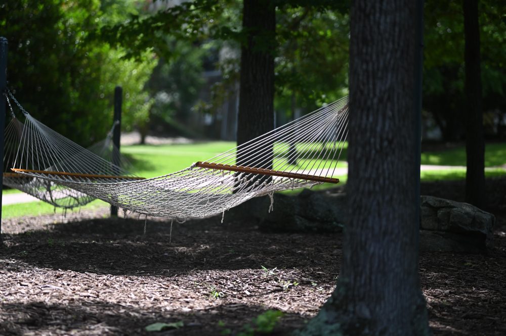 Hammock Outside CHHS