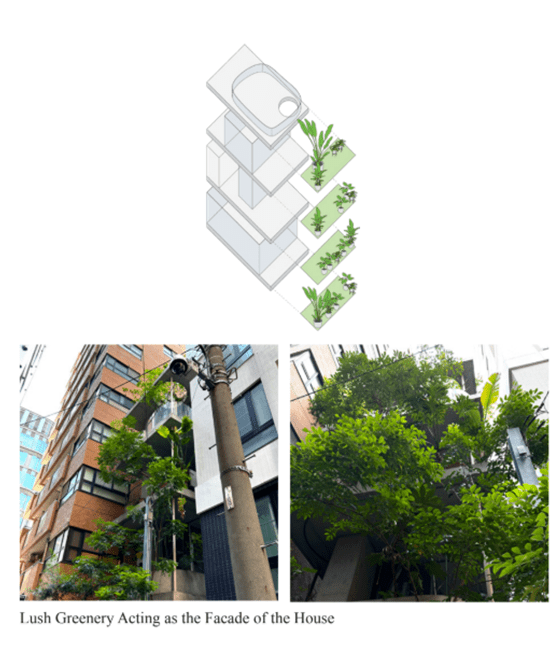 Garden & House Summary by Bella Swanson