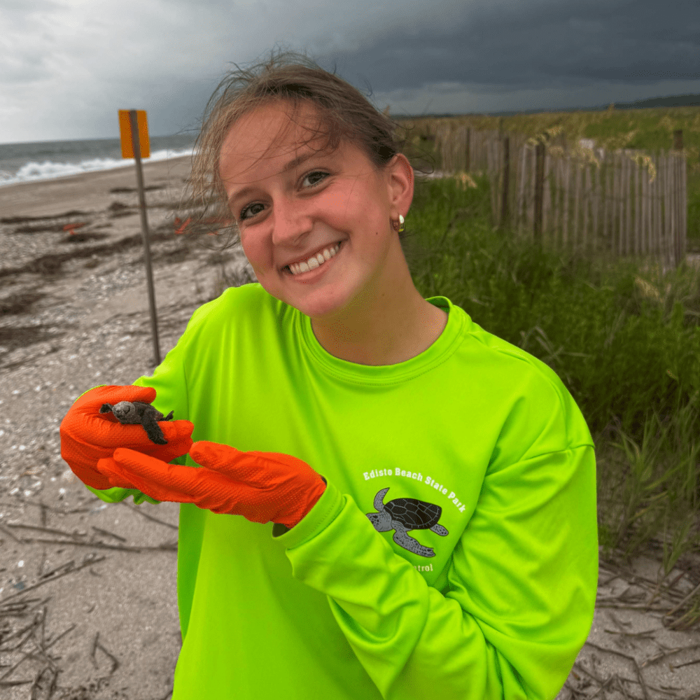 Avery Taylor with baby turtle at Edisto Beach State Park