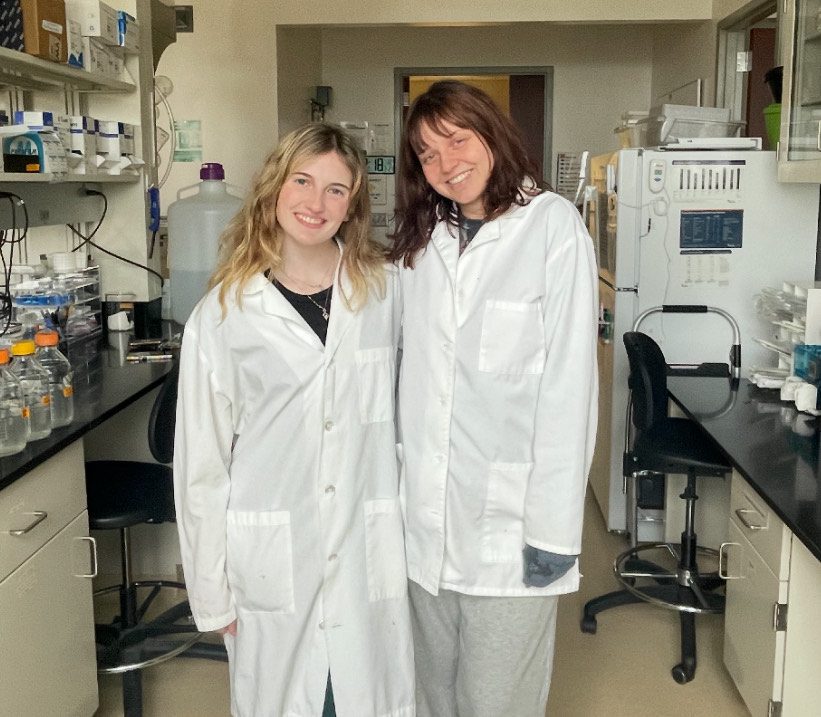 Bioinformatics research photo