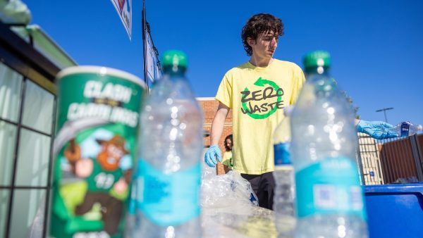Zero waste steward sorts recycling after home football game