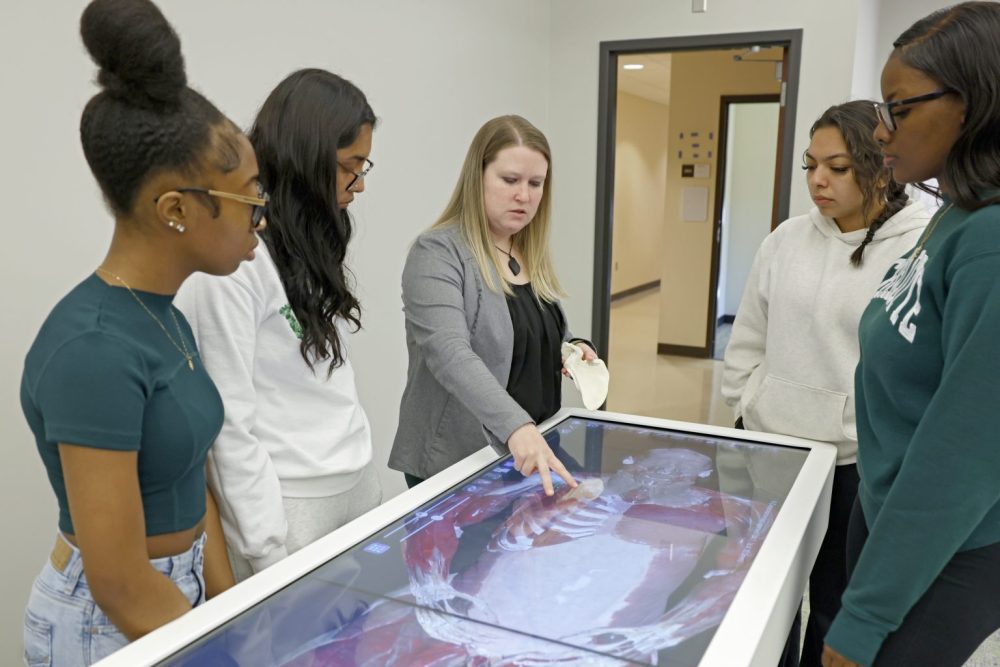 CHHS anatomy visualization table