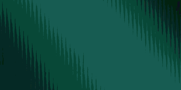 GIF of a promo video for becoming a Niner Nation Gives Ambassador