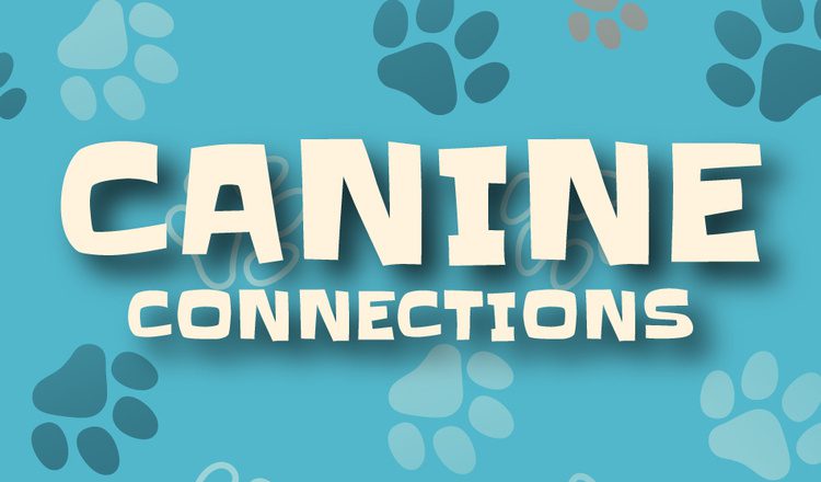 Canine Connections