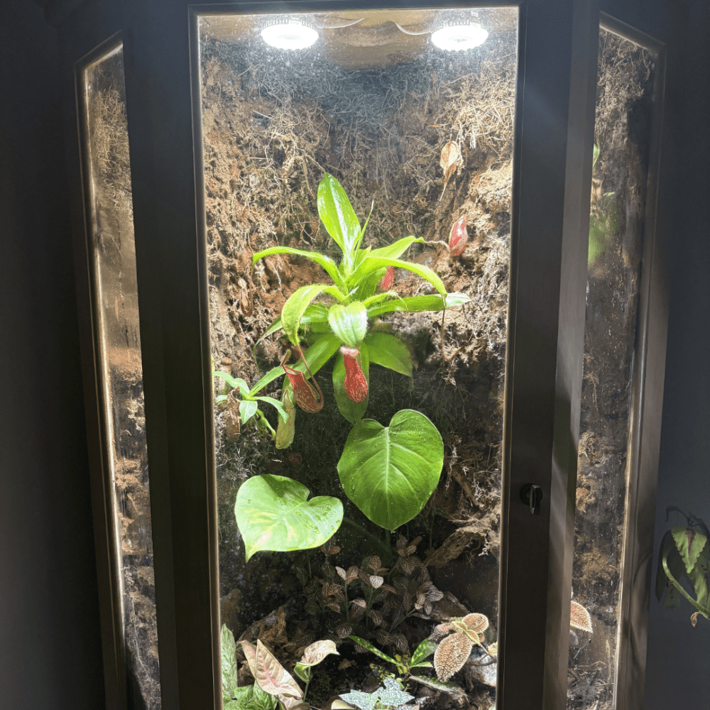 Logan David's handmade terrarium