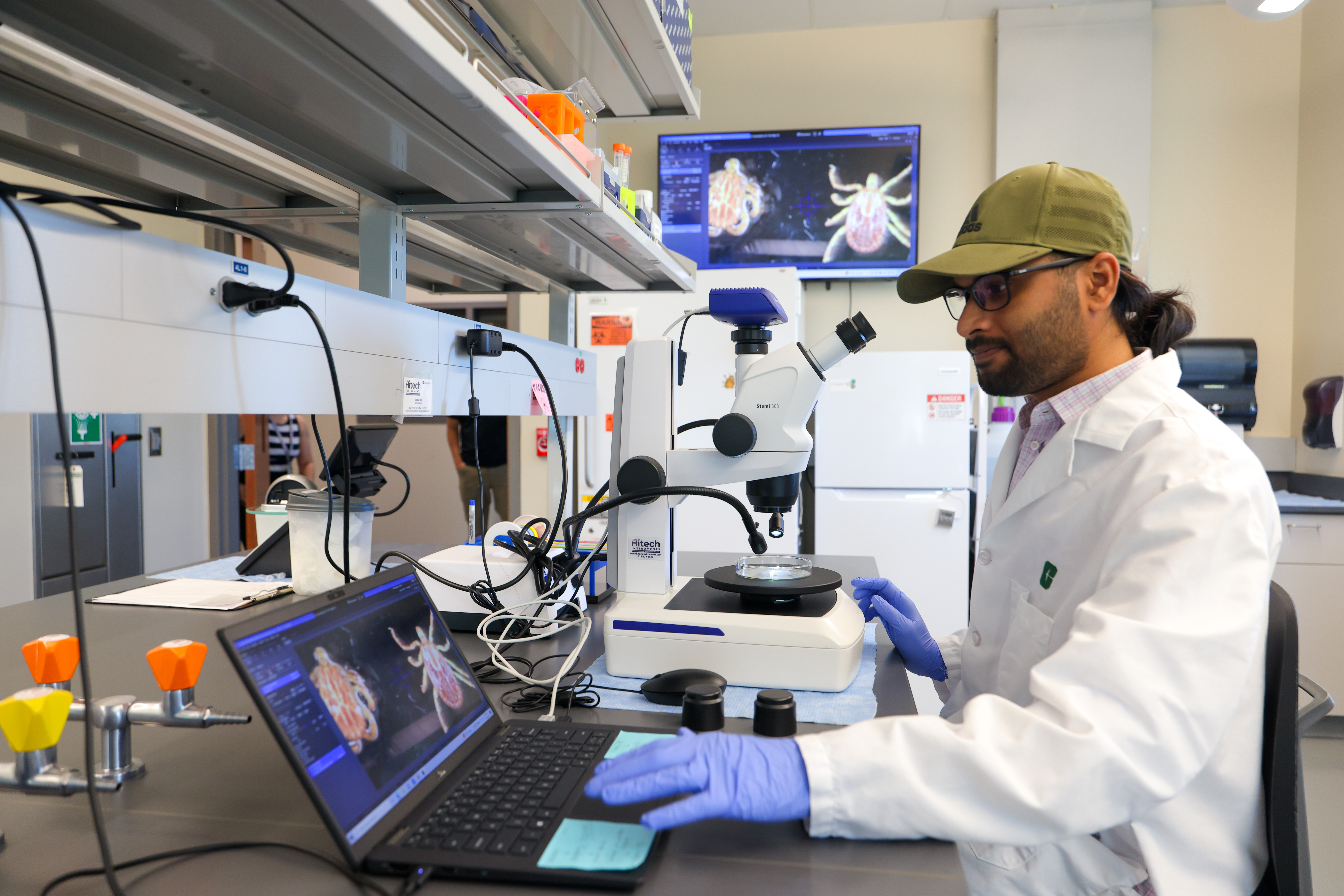 Student analyzes ticks under microscope in Rafael Vieira's lab