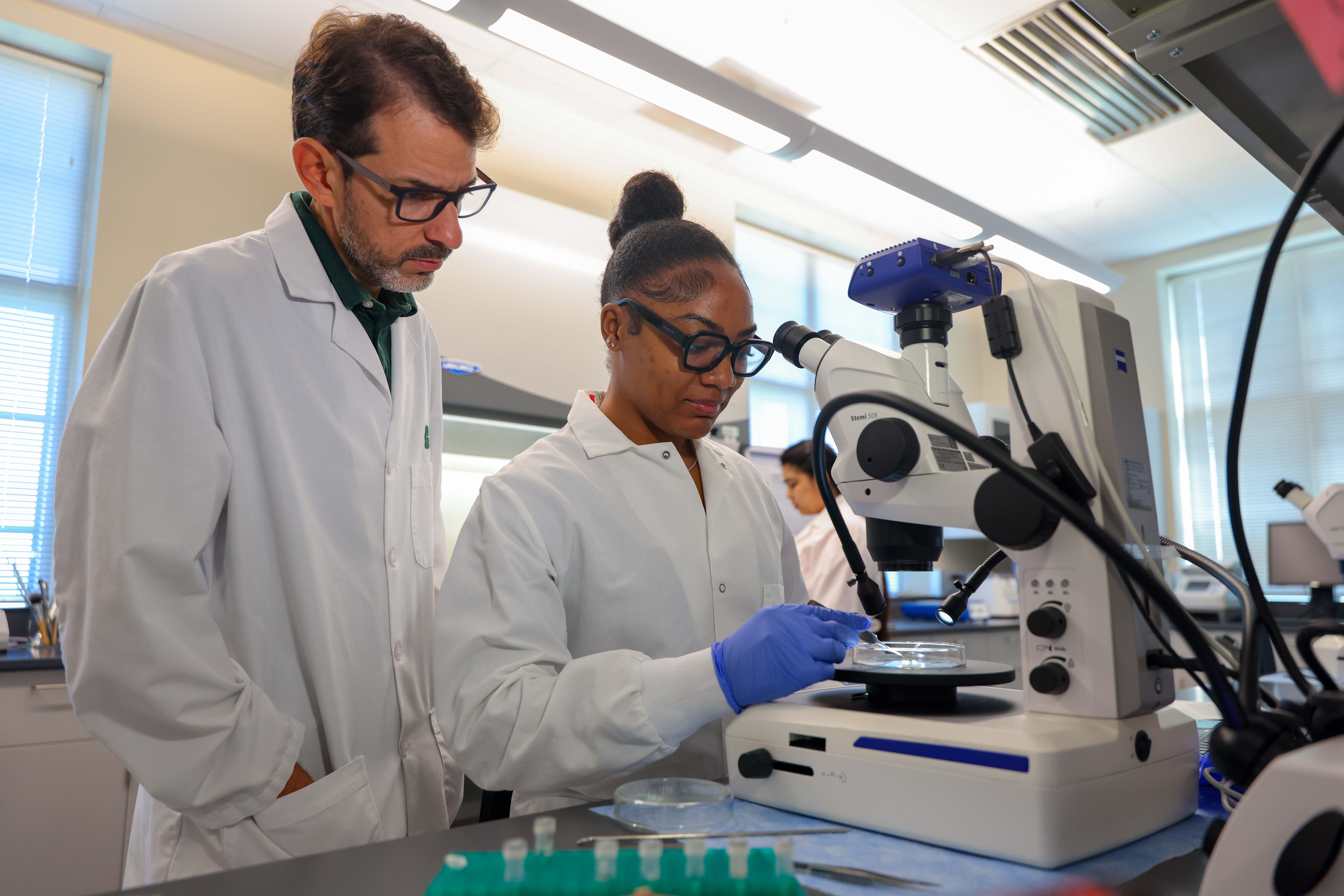 Rafael Vieira looks over a students shoulder as they analyze ticks under a microscope