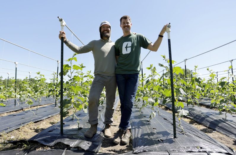 {{brizy_dc_image_alt imageSrc=